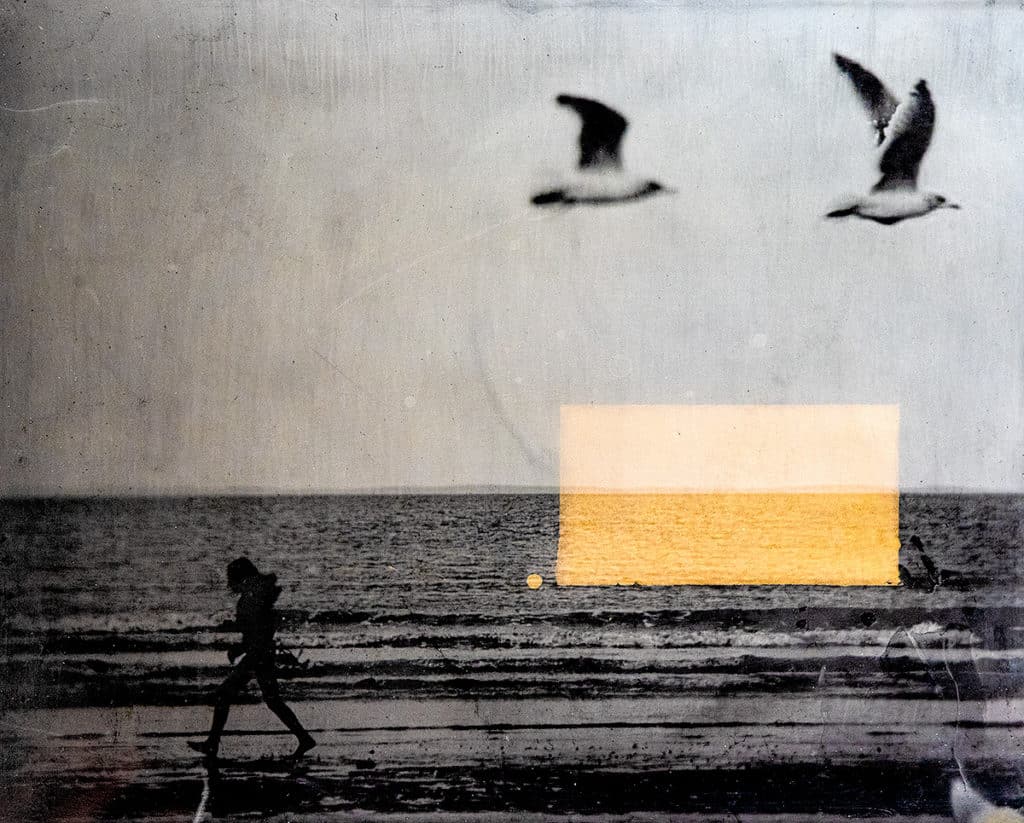 Nature fantasmée -La plage - collodion humide - ambrotype - 20 x 25 cm