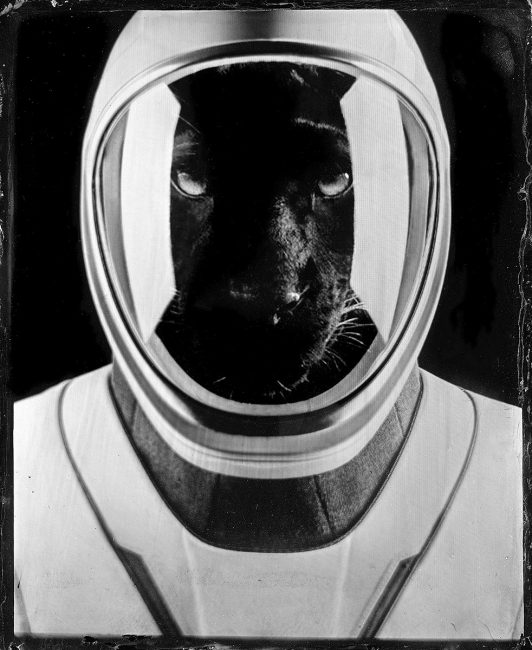 La conquête de l'espace - Le rêve de la panthère - ferrotype 9x12 cm - Collection privée